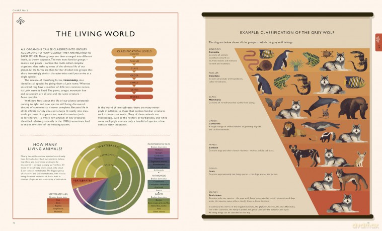 Curiositree: Natural World: A Visual Compendium of Wonders from Nature - Aj Et Al Wood [KSIĄŻKA]
