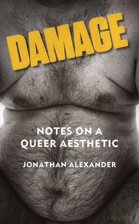 Damage: Notes on a Queer Aesthetic - Jonathan Alexander [KSIĄŻKA]