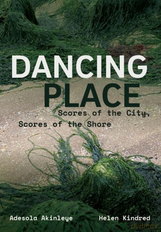 Dancing Place - Scores of the City, Scores of the Shore - Adesola Akinleye [KSIĄŻKA]