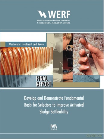 Develop and Demonstrate Fundamental Basis for Selectors to Improve Activated Sludge Settleability (WERF Research Report Series) - Donald Gray (Gabb) [KSIĄŻKA]