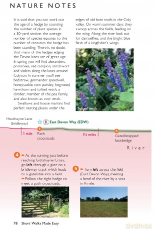 Devon's Jurassic Coast Short Walks | Ordnance Survey | 10 Accessible Routes for All | Short Walks Made Easy | Guidebook | Devon | England | Maps | Coast - Ordnance Survey [KSIĄŻKA]
