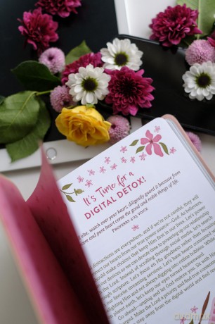 Digital Detox Devotions: Bible Wisdom to Unplug from Screens and Connect with God - Carey Scott [KSIĄŻKA]