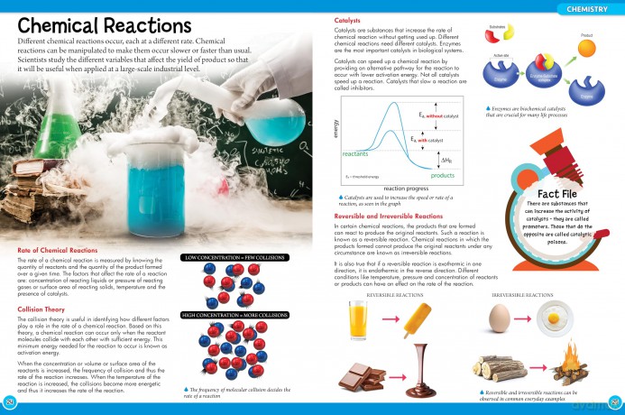 Discover Chemistry: A First Introduction to Science (Wonders of Learning 48 Pages Omnibus) [KSIĄŻKA]