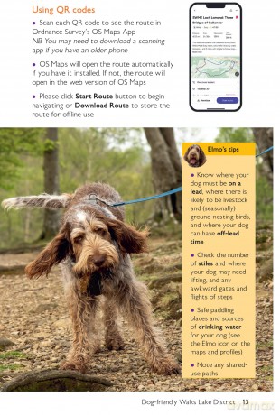 Dog Walks Lake District | Ordnance Survey | 10 Dog-friendly Walks for All | Short Walks Made Easy | Guidebook | Lake District | National Park | England | Maps - David Jordan [KSIĄŻKA]