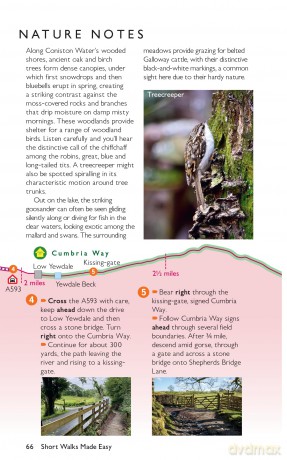 Dog Walks Lake District | Ordnance Survey | 10 Dog-friendly Walks for All | Short Walks Made Easy | Guidebook | Lake District | National Park | England | Maps - David Jordan [KSIĄŻKA]