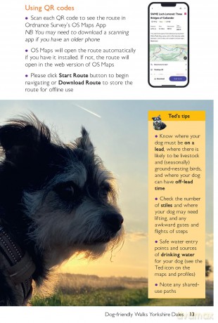 Dog Walks Yorkshire Dales | Ordnance Survey | 10 Dog-friendly Walks for All | Short Walks Made Easy | Guidebook | Yorkshire Dales | National Park | England | Maps - Sally Outram [KSIĄŻKA]