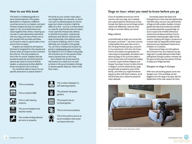Dog-Friendly Europe: Epic holidays for you and your hound - Lottie Gross [KSIĄŻKA]