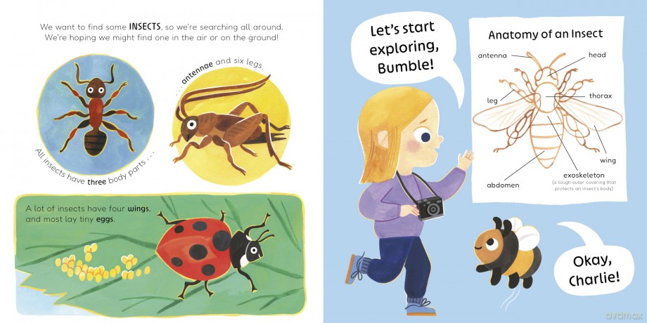 Don't Call Me an Insect! - Charlotte Guillain [KSIĄŻKA]