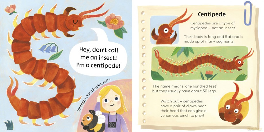 Don't Call Me an Insect! - Charlotte Guillain [KSIĄŻKA]