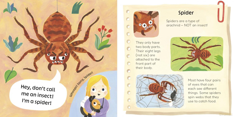 Don't Call Me an Insect! - Charlotte Guillain [KSIĄŻKA]