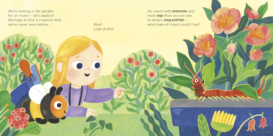 Don't Call Me an Insect! - Charlotte Guillain [KSIĄŻKA]