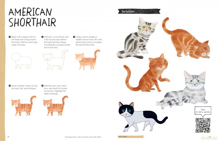 Drawing Class: Cats at Home and in the Wild: Learn to Draw with Simple Shapes and Online Tutorials - Access video tutorials for 60 drawings via QR codes - Heegyum Kim [KSIĄŻKA]