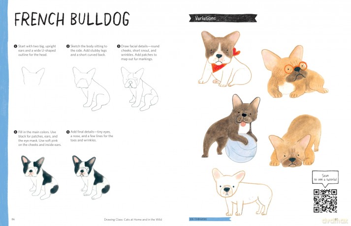 Drawing Class: Cats at Home and in the Wild: Learn to Draw with Simple Shapes and Online Tutorials - Access video tutorials for 60 drawings via QR codes - Heegyum Kim [KSIĄŻKA]