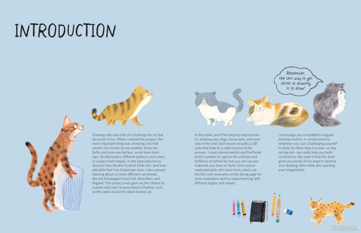 Drawing Class: Cats at Home and in the Wild: Learn to Draw with Simple Shapes and Online Tutorials - Access video tutorials for 60 drawings via QR codes - Heegyum Kim [KSIĄŻKA]
