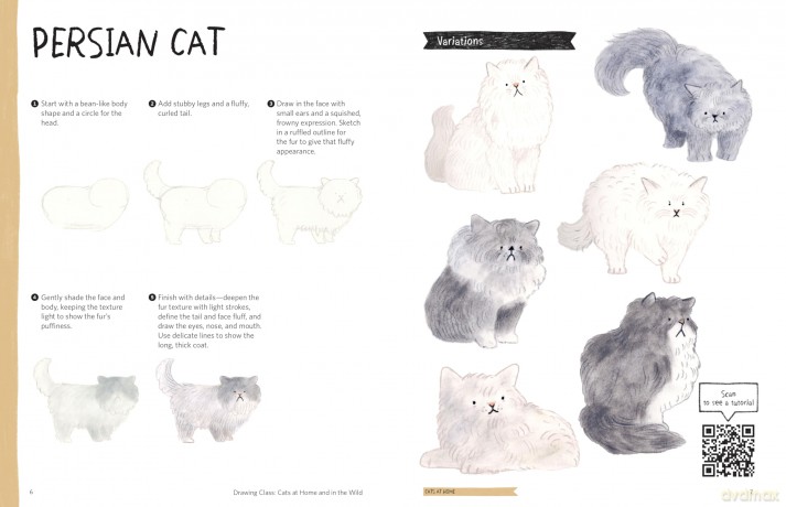 Drawing Class: Cats at Home and in the Wild: Learn to Draw with Simple Shapes and Online Tutorials - Access video tutorials for 60 drawings via QR codes - Heegyum Kim [KSIĄŻKA]