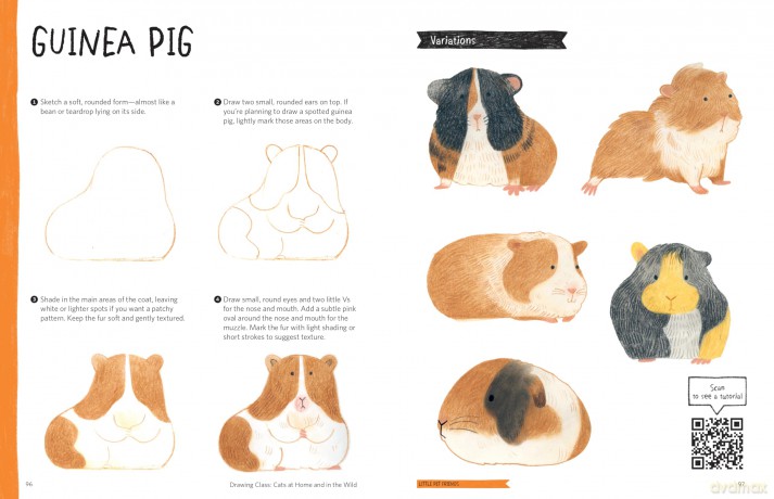 Drawing Class: Cats at Home and in the Wild: Learn to Draw with Simple Shapes and Online Tutorials - Access video tutorials for 60 drawings via QR codes - Heegyum Kim [KSIĄŻKA]