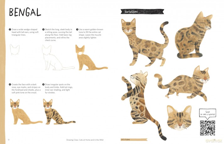 Drawing Class: Cats at Home and in the Wild: Learn to Draw with Simple Shapes and Online Tutorials - Access video tutorials for 60 drawings via QR codes - Heegyum Kim [KSIĄŻKA]