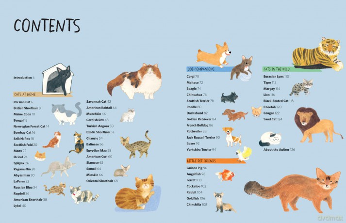 Drawing Class: Cats at Home and in the Wild: Learn to Draw with Simple Shapes and Online Tutorials - Access video tutorials for 60 drawings via QR codes - Heegyum Kim [KSIĄŻKA]