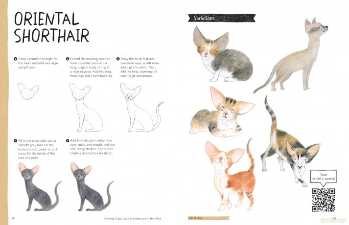 Drawing Class: Cats at Home and in the Wild: Learn to Draw with Simple Shapes and Online Tutorials - Access video tutorials for 60 drawings via QR codes - Heegyum Kim [KSIĄŻKA]