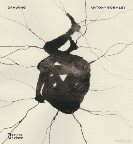 Drawing: Antony Gormley - Antony Gormley Jacq [KSIĄŻKA]