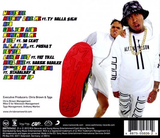 Chris Brown: Fan Of A Fan [CD]