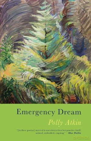 Emergency Dream - Polly Atkin [KSIĄŻKA]