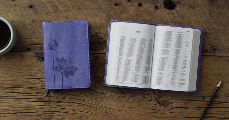 ESV Compact Bible (TruTone, Lavender, Bloom Design) [KSIĄŻKA]