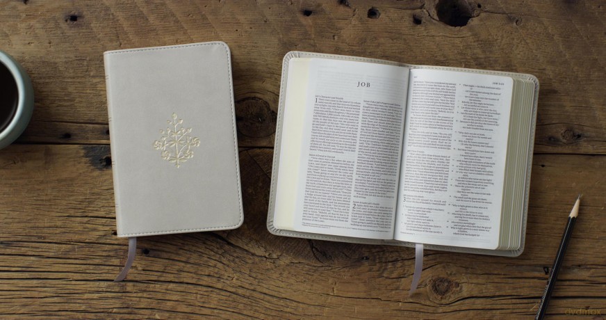 ESV Compact Bible (TruTone, Stone, Branch Design) [KSIĄŻKA]