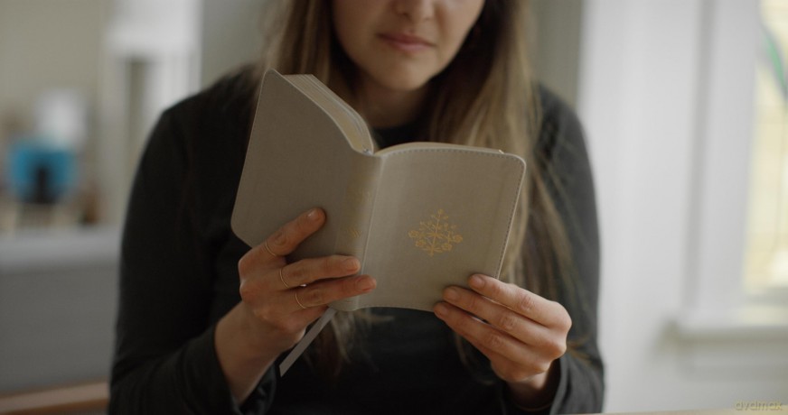 ESV Compact Bible (TruTone, Stone, Branch Design) [KSIĄŻKA]