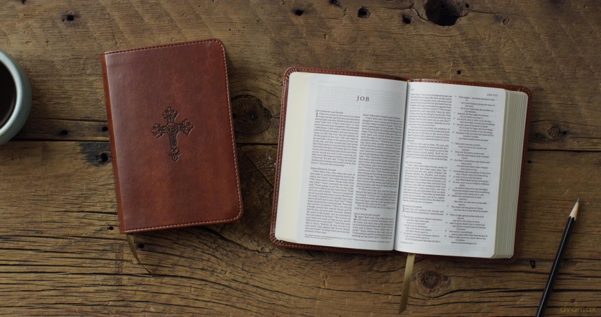 ESV Compact Bible (TruTone, Walnut, Weathered Cross Design) [KSIĄŻKA]