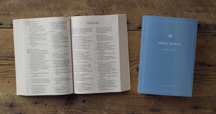 ESV Economy Bible, Giant Print (Paperback) [KSIĄŻKA]