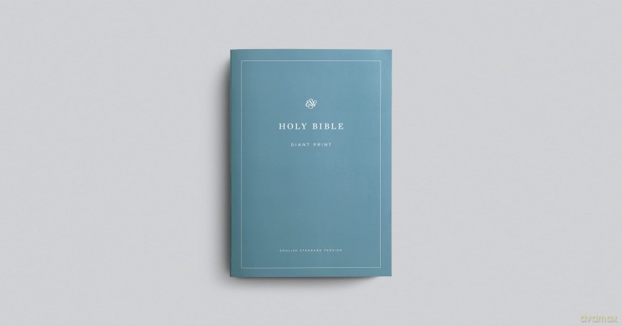 ESV Economy Bible, Giant Print (Paperback) [KSIĄŻKA]