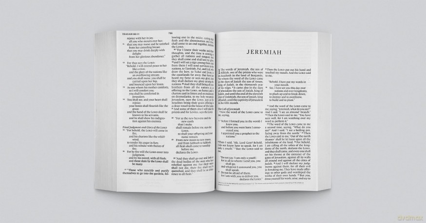ESV Economy Bible, Giant Print (Paperback) [KSIĄŻKA]