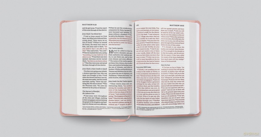 ESV Giant Print Personal Size Bible, Red Letter (TruTone, Blush Rose) [KSIĄŻKA]