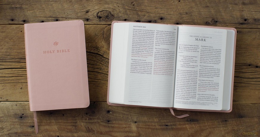 ESV Giant Print Personal Size Bible, Red Letter (TruTone, Blush Rose) [KSIĄŻKA]