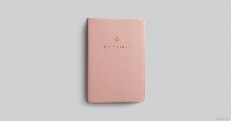 ESV Giant Print Personal Size Bible, Red Letter (TruTone, Blush Rose) [KSIĄŻKA]
