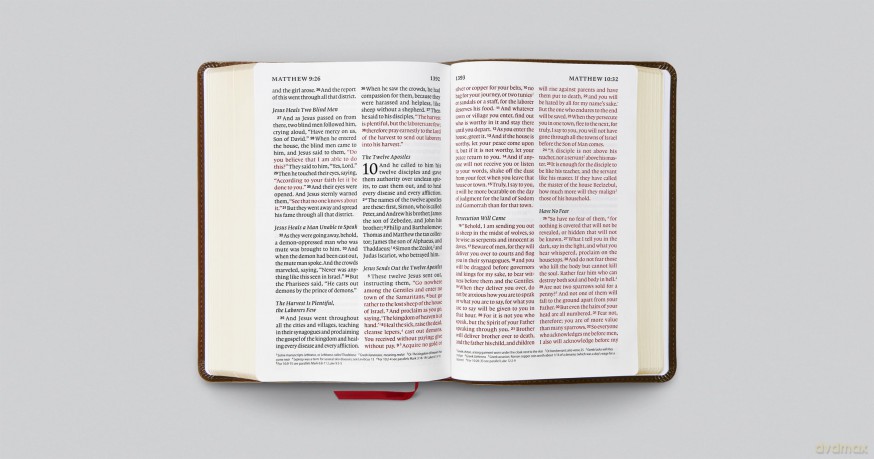 ESV Giant Print Personal Size Bible, Red Letter (TruTone, Brown, Engraved Mantel Design) [KSIĄŻKA]