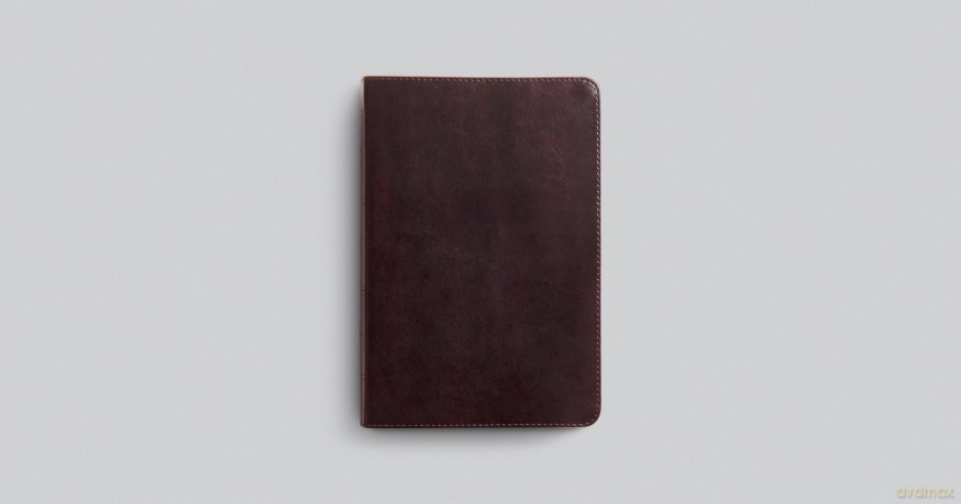 ESV Giant Print Personal Size Bible, Red Letter (TruTone, Mahogany) [KSIĄŻKA]