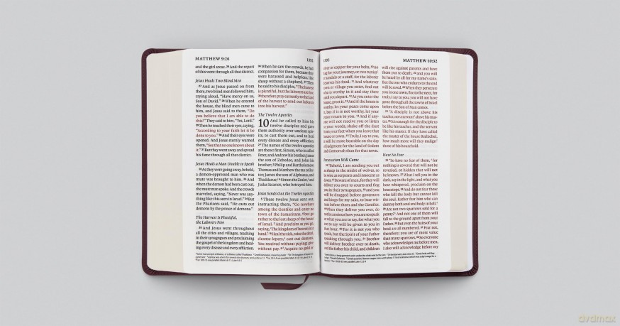 ESV Giant Print Personal Size Bible, Red Letter (TruTone, Mahogany) [KSIĄŻKA]