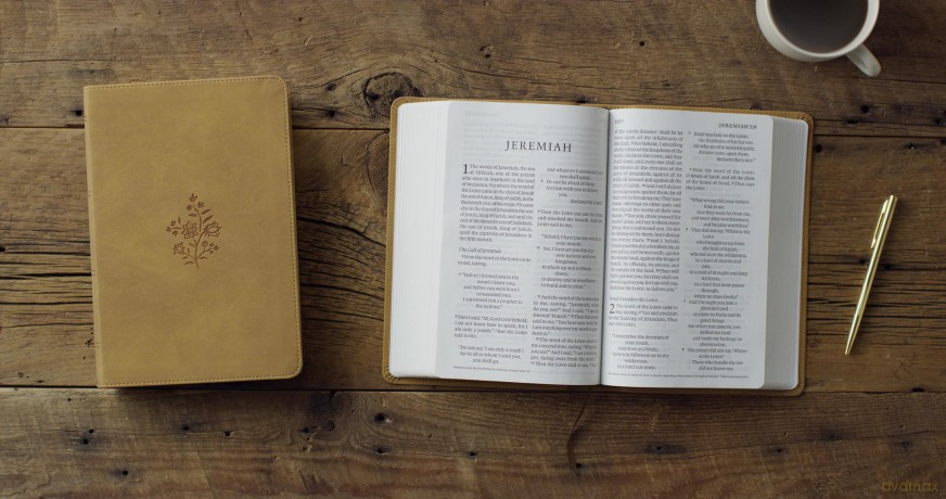 ESV Giant Print Personal Size Bible, Red Letter (TruTone, Nubuck Caramel, Wildflower Design) [KSIĄŻKA]