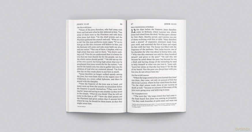 ESV Gospel of John (Paperback, Classic Design) [KSIĄŻKA]