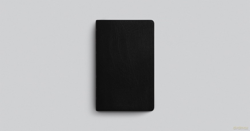 ESV Large Print Thinline Bible (Genuine Leather, Black) [KSIĄŻKA]