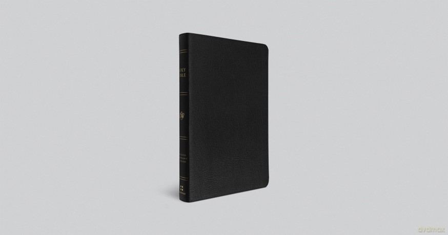 ESV Large Print Thinline Bible (Genuine Leather, Black) [KSIĄŻKA]