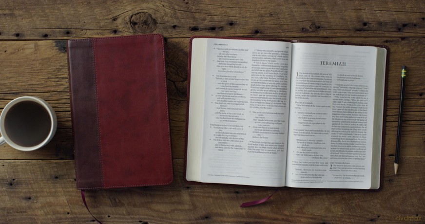 ESV Large Print Thinline Bible (TruTone, Burgundy/Red, Timeless Design) [KSIĄŻKA]
