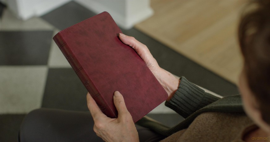 ESV Large Print Thinline Bible (TruTone, Mahogany) [KSIĄŻKA]