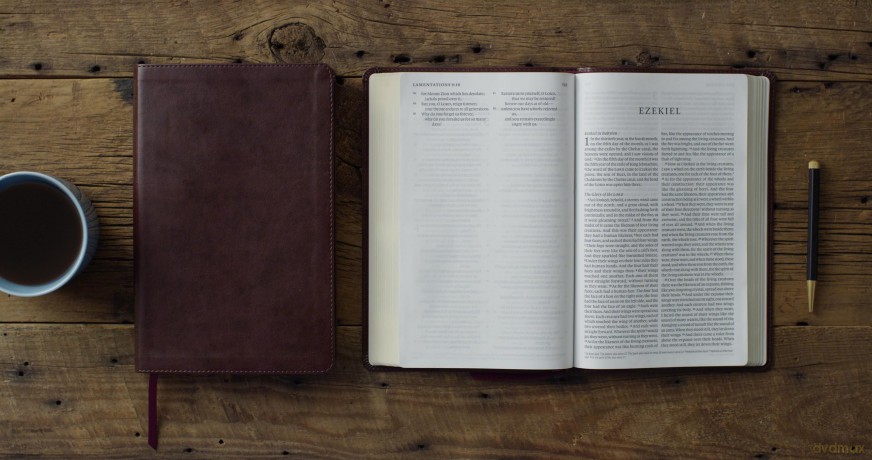 ESV Large Print Thinline Bible (TruTone, Mahogany) [KSIĄŻKA]