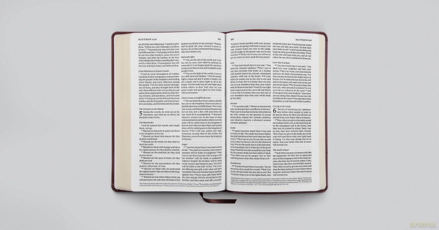 ESV Large Print Thinline Bible (TruTone, Mahogany) [KSIĄŻKA]