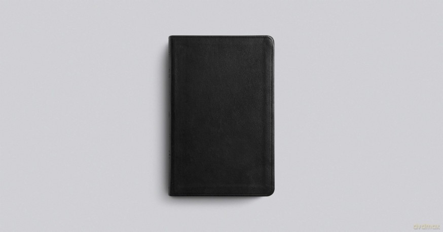 ESV Large Print Value Thinline Bible (TruTone, Black) [KSIĄŻKA]
