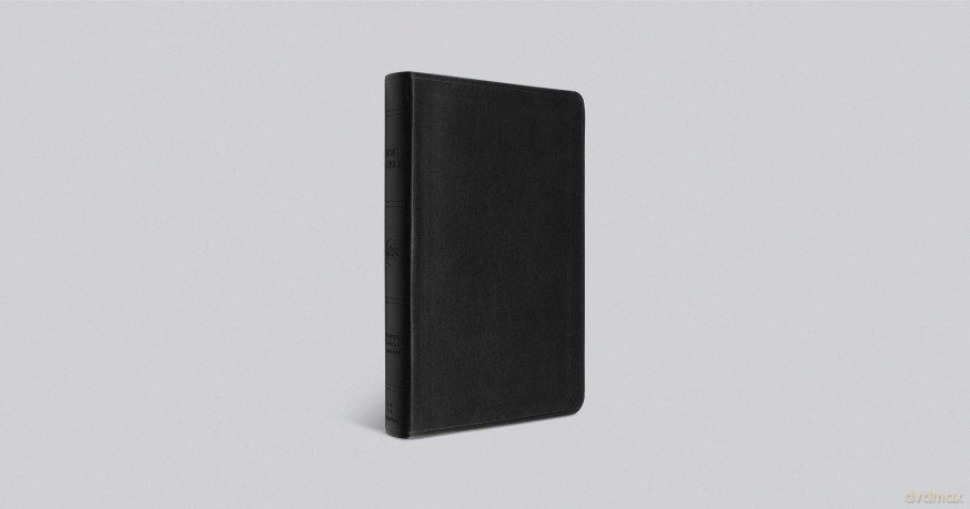 ESV Large Print Value Thinline Bible (TruTone, Black) [KSIĄŻKA]