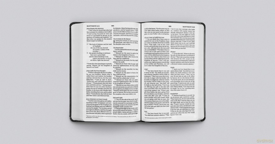 ESV Large Print Value Thinline Bible (TruTone, Black) [KSIĄŻKA]